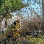 Controlan incendio forestal en Valle Nuevo